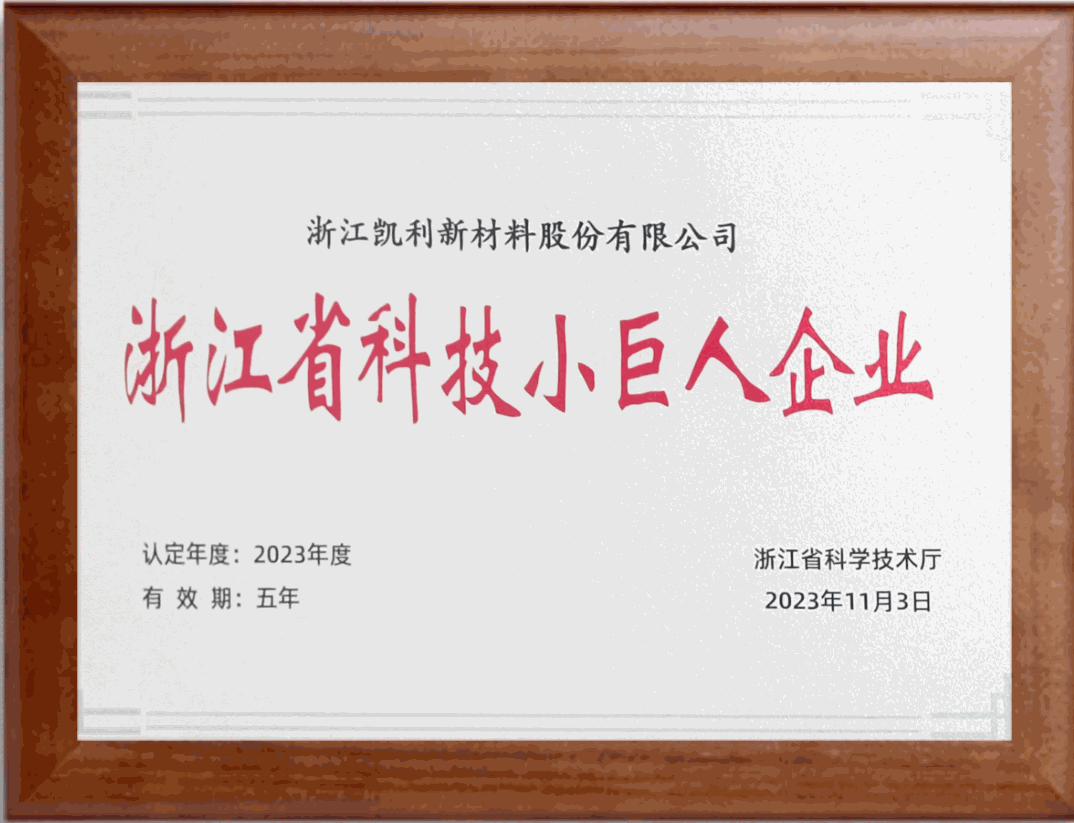 Zhejiang Sci-Tech Little Giant